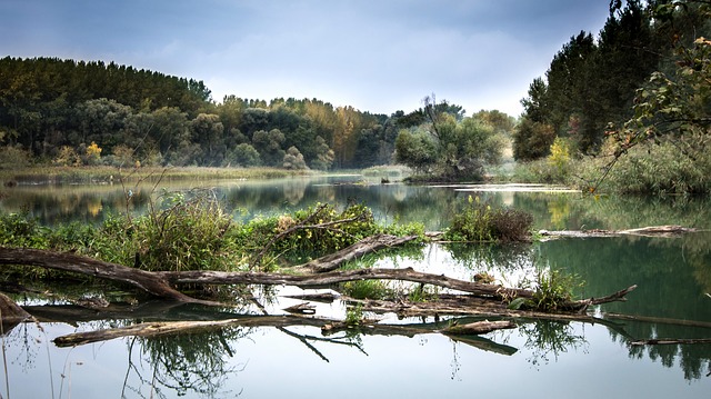 river-977476_640
