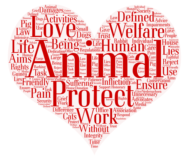 word-cloud-2696611_640