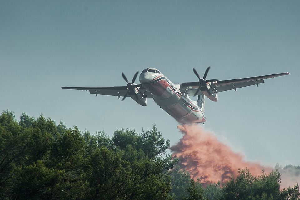 Dichiarazione dello stato di massima pericolosita' di incendi boschivi su tutto il territorio regionale