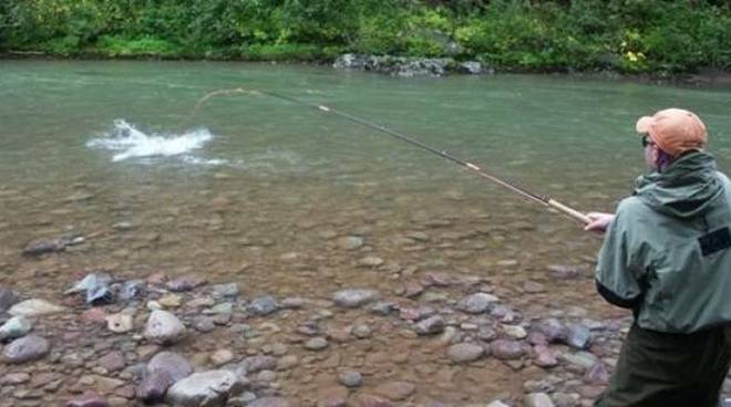 Modifica  Zona di protezione ittica sul tratto di Fiume Sesia in Comune di Quarona