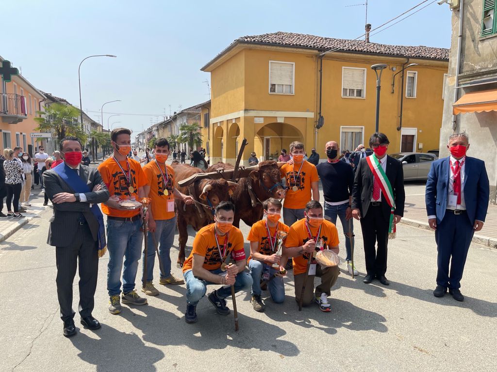 Palio dei buoi di caresana